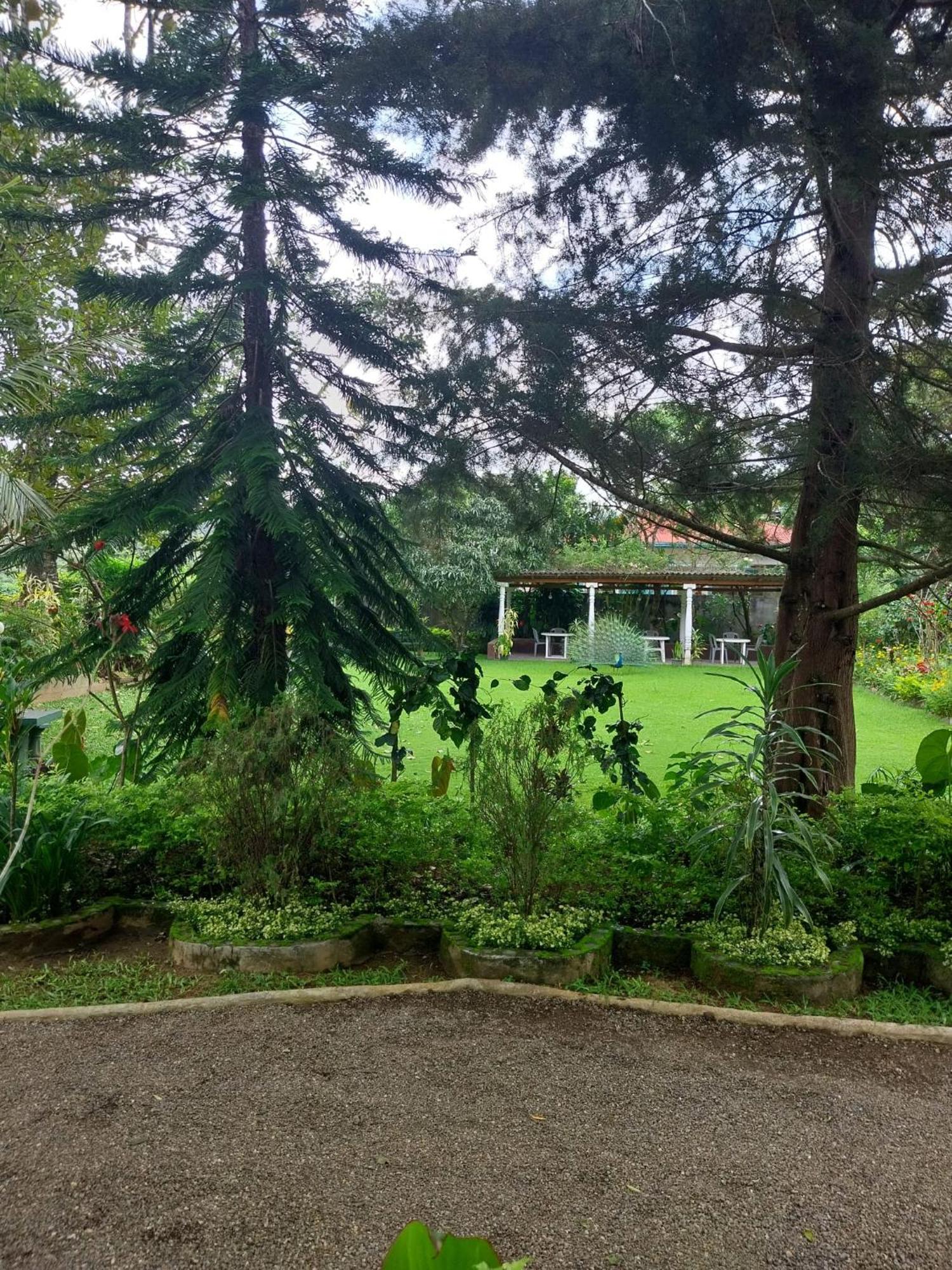 Spring Shannon Heritage Diyatalawa Bagian luar foto
